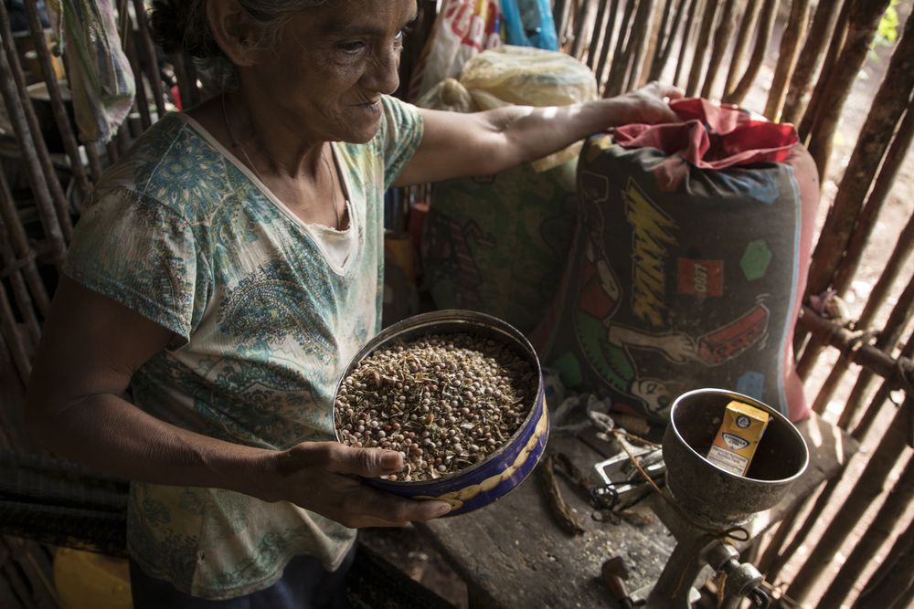 América Latina no alcanzará meta hambre cero 2030