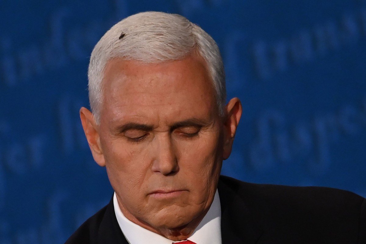 A fly on Pence’s head and 5 other highlights from the VP debate