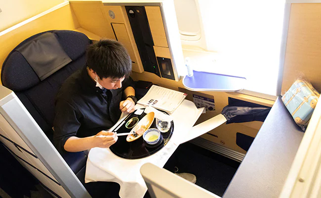 Japan Airline Offers Meals On Parked Planes To Travel-Starved Customers