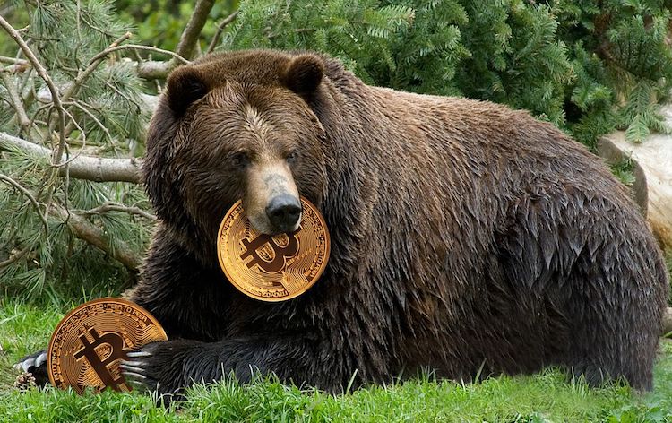 The Next Bitcoin Bear Market Could Be Much Shorter Than Before