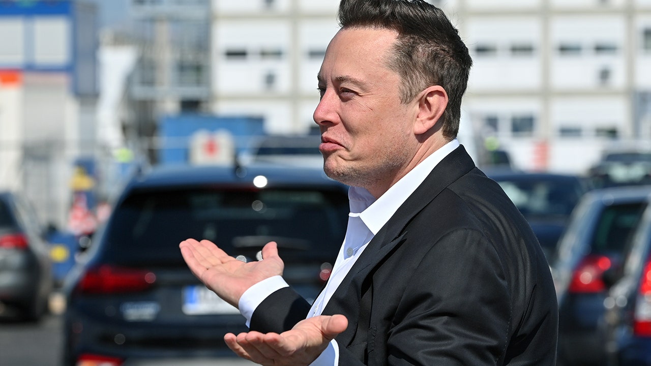 'Elon Musk' scams thrive on social media