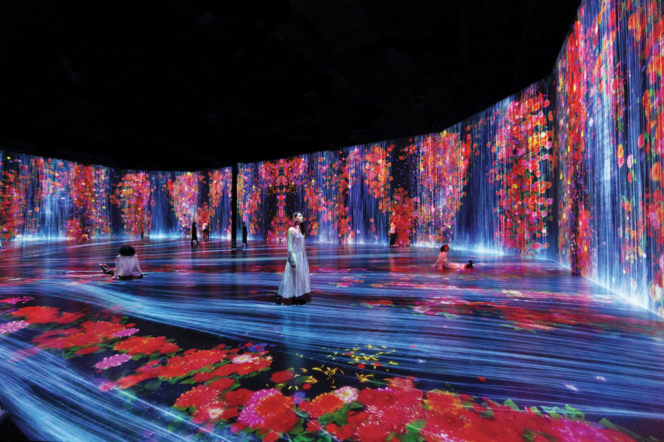 The Immersive Art Experience: Are Attractions Considered Art?