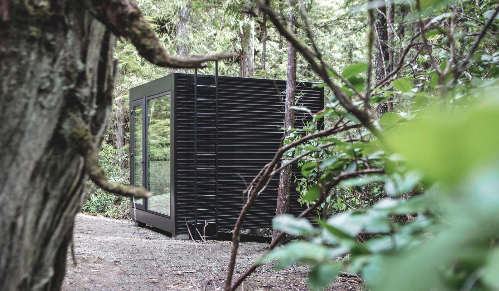 This Prefab Office Was Installed in a Vancouver Island Backyard in Less Than Four Hours