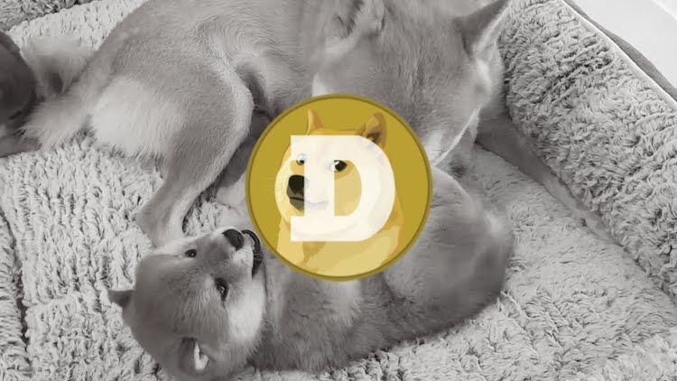 Short History Of The Infamous Meme Currency: Dogecoin
