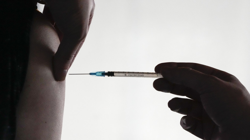 Germany to delay Covid vaccine mandate – media
