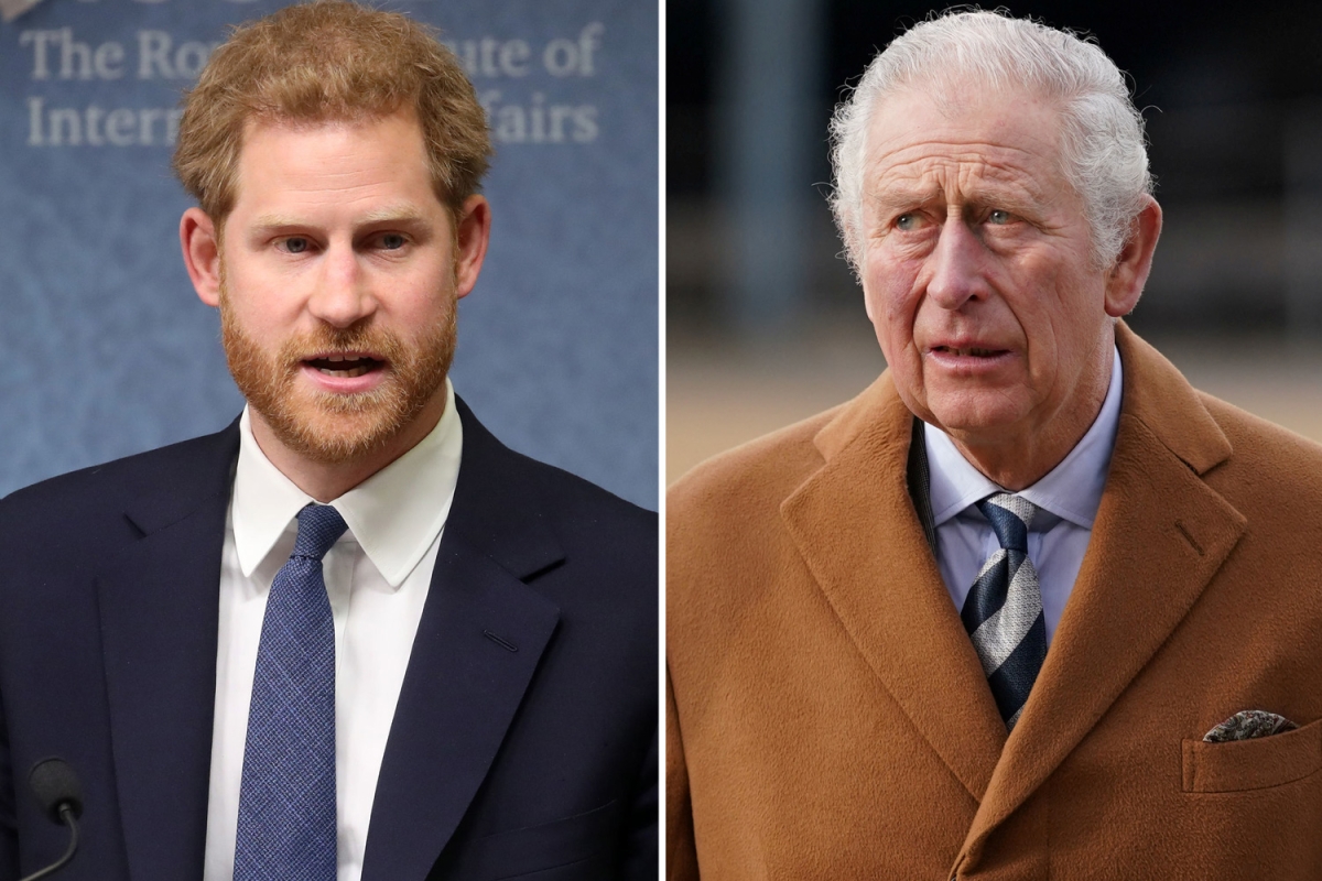 Harry's 'major concern' over Saudi 'cash-for-access' as Charles charity probed