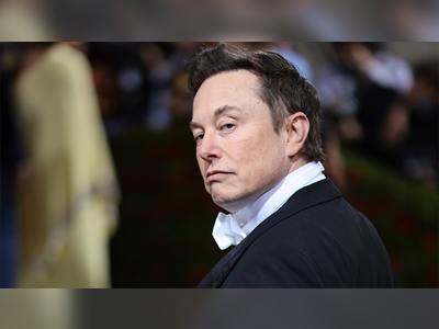 Elon Musk 'worried' Twitter lacks incentive to fix spam bots: 'Very suspicious'