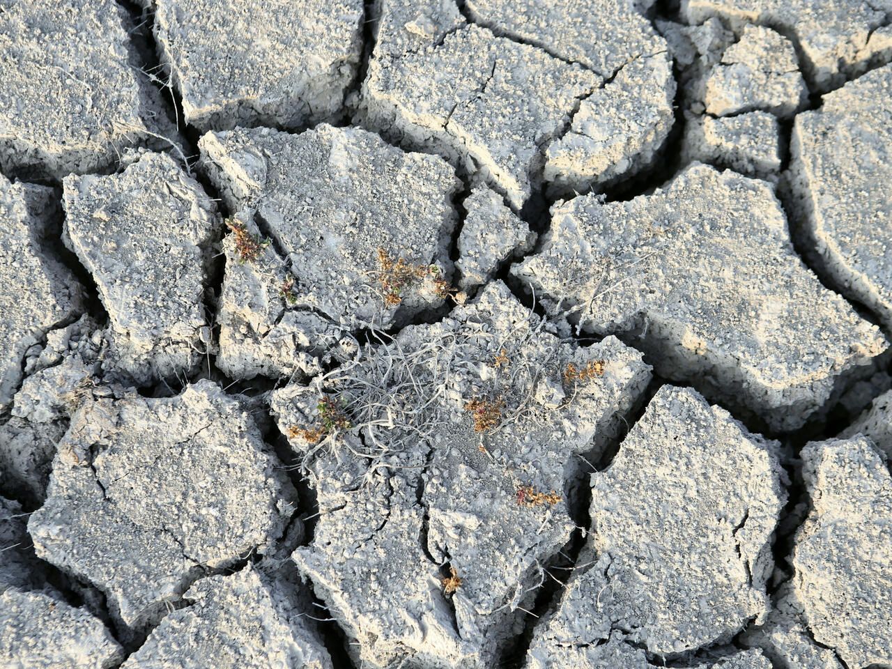 Europe faces worst drought in 500 years