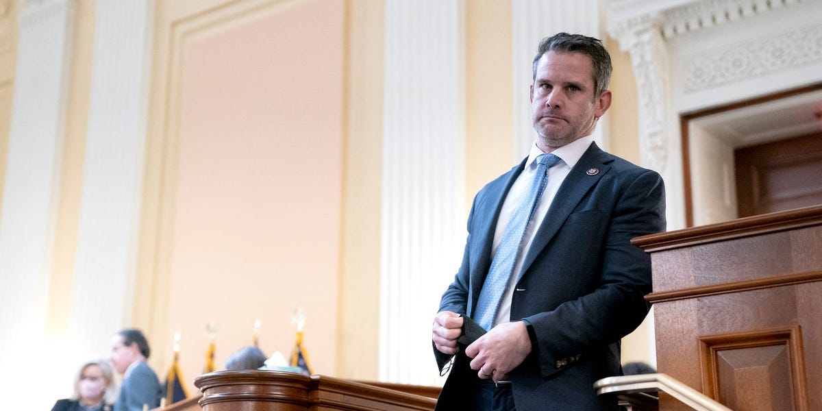 Rep. Adam Kinzinger said in final House floor speech that 'limited government' for GOP now means 'inciting violence against government officials'